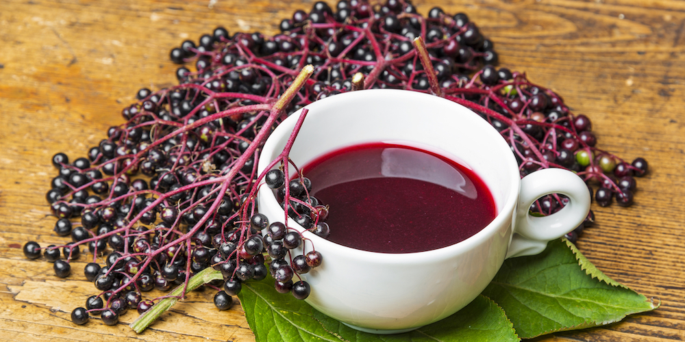 Benefits Of Elderberry Tea Side Effects Kent Tea Coffee Co