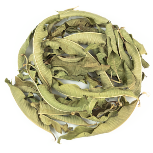 Lemon Verbena Tea