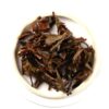 Darjeeling Autumn Tea Giddapahar-5911