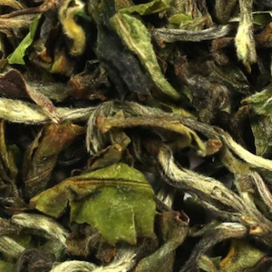 Darjeeling First Flush Tea