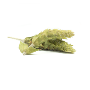 Sideritis Scardica Olympus Tea (whole)