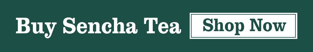 Buy Sencha Tea