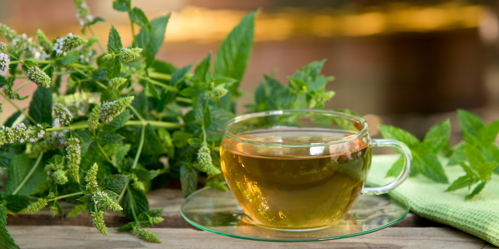 Peppermint Tea Weight Loss