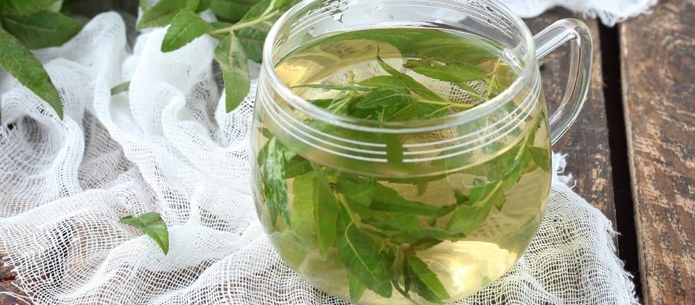 Lemon Verbena Benefits