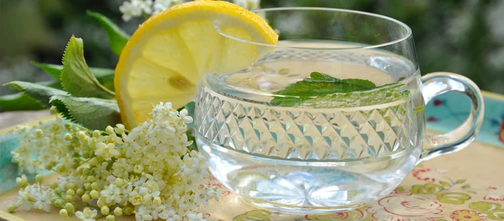 Elderflower Tea Benefits