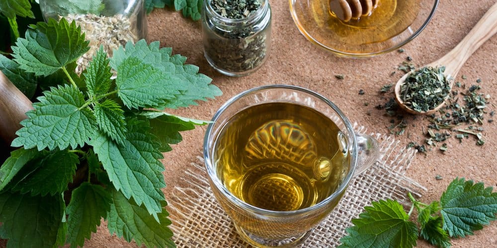 Nettle Tea Benefits