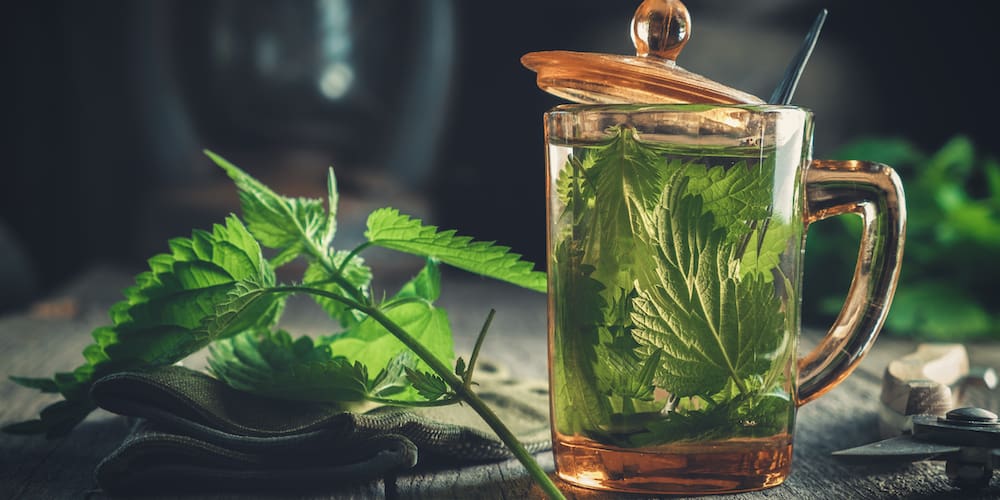 Nettle Tea Benefits for Skin