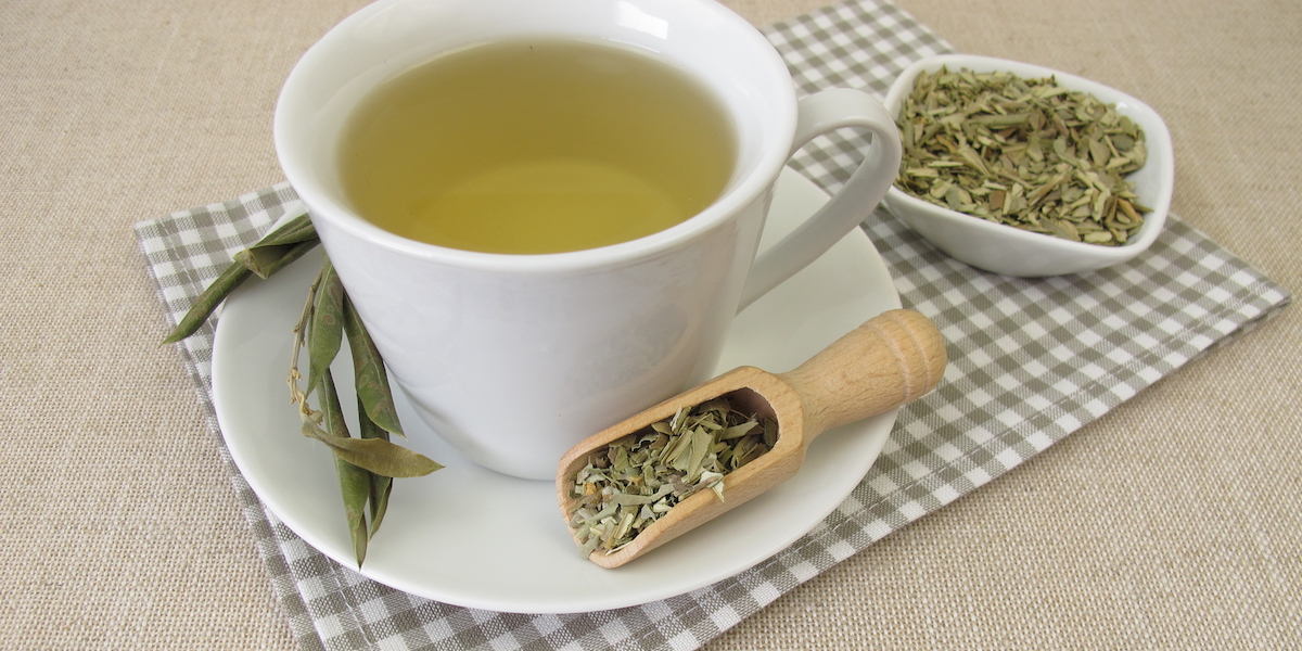 Olive Leaf Tea Benefits