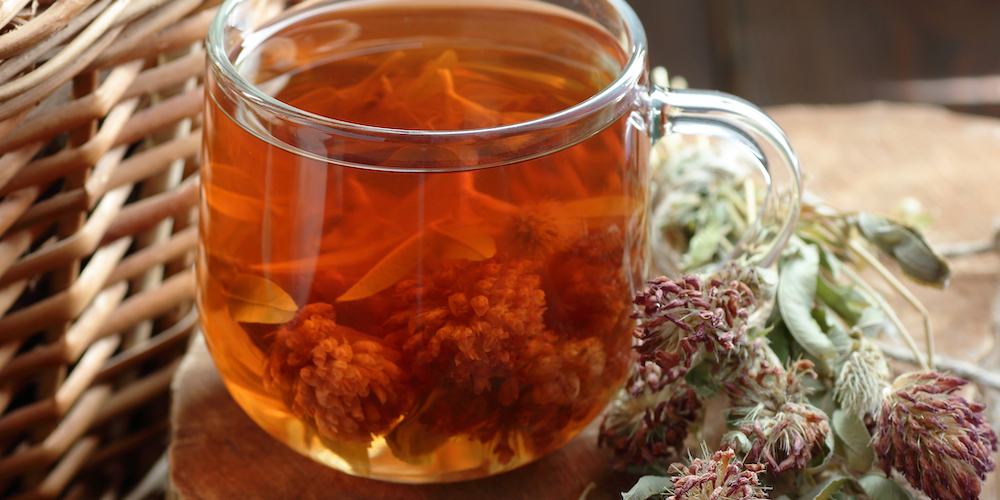 How to Make Red Clover Tea