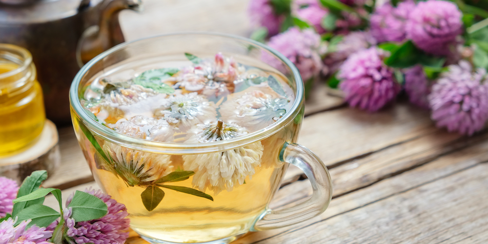 Red Clover Tea for Acne and Skin Health