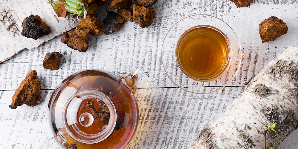 Chaga Tea Benefits