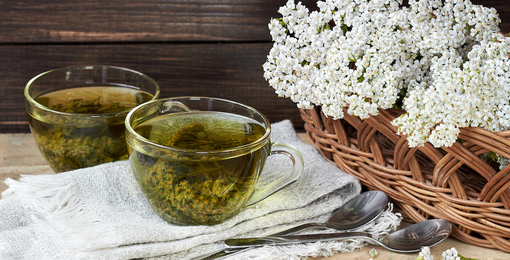 Benefits of Yarrow Tea & Side Effects | Tea-and-Coffee.com