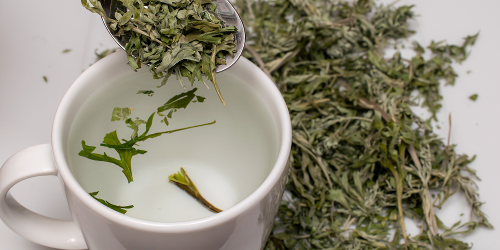 Mugwort Tea Benefits