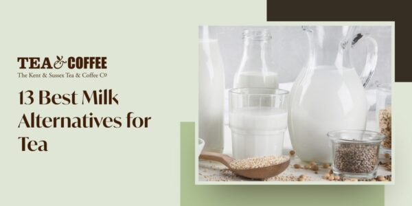 Best Milk Alternatives