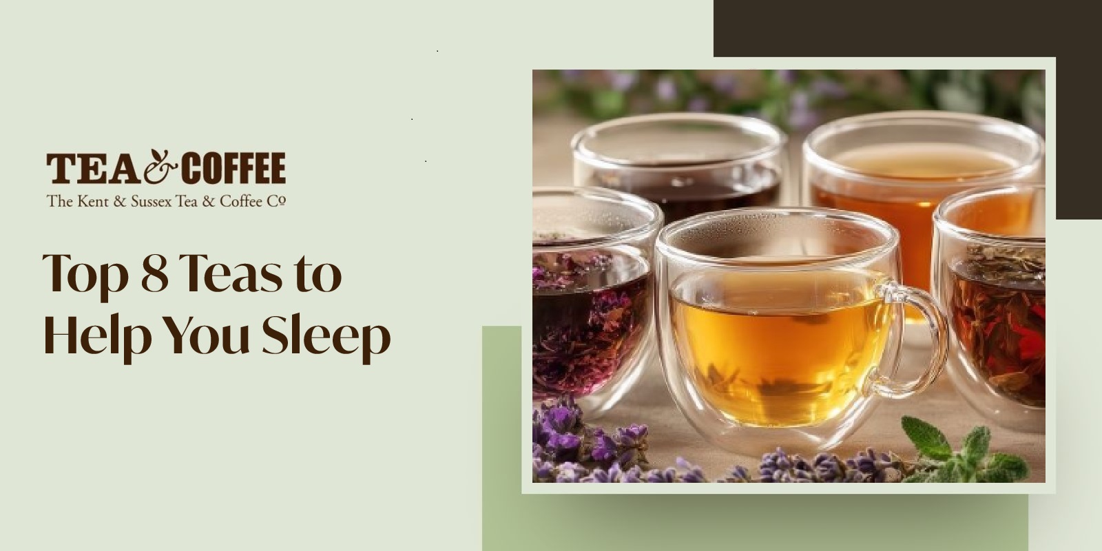 Top 8 Teas to Help You Sleep