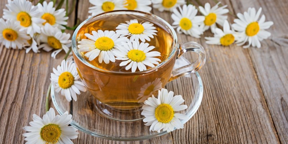 Camomile Tea for Stress Relief and Gut Health