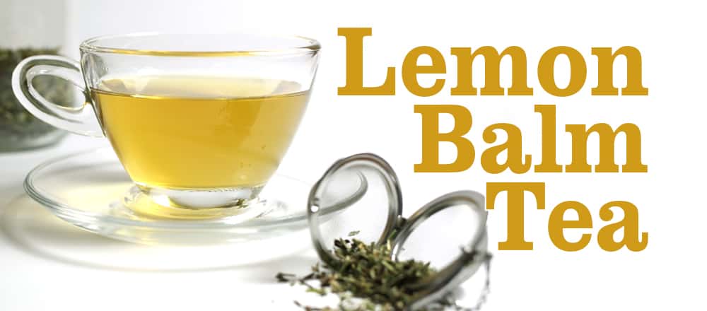 Lemon Balm Tea Benefits | Tea-and-Coffee.com