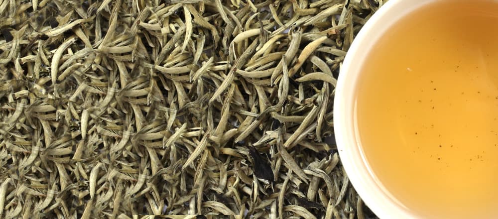 Calories in White Tea