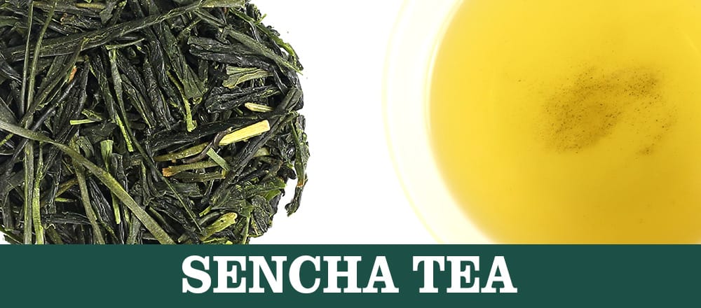 S Stands for Sencha Tea