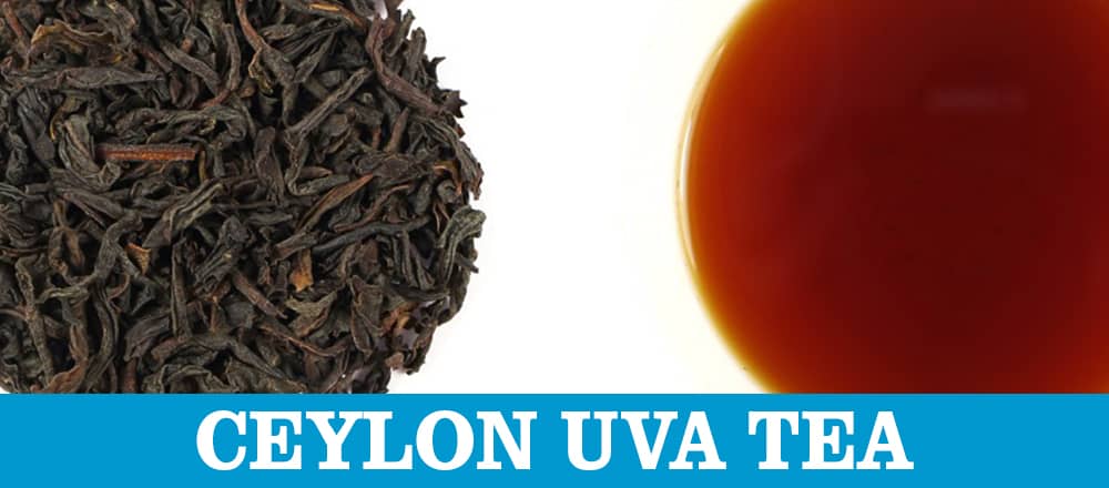 U Stands for Uva Tea