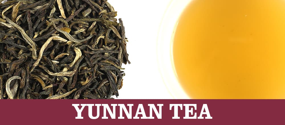 Y Stands for Yunnan Tea