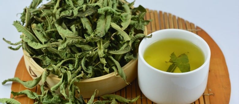 Lemon Verbena Benefits | Kent Tea & Coffee Co