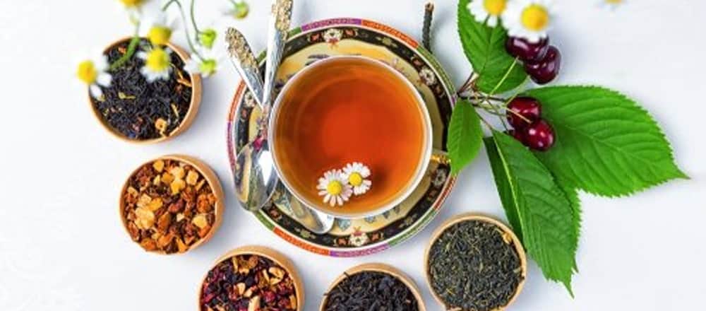 Best Tea for Immune System Health