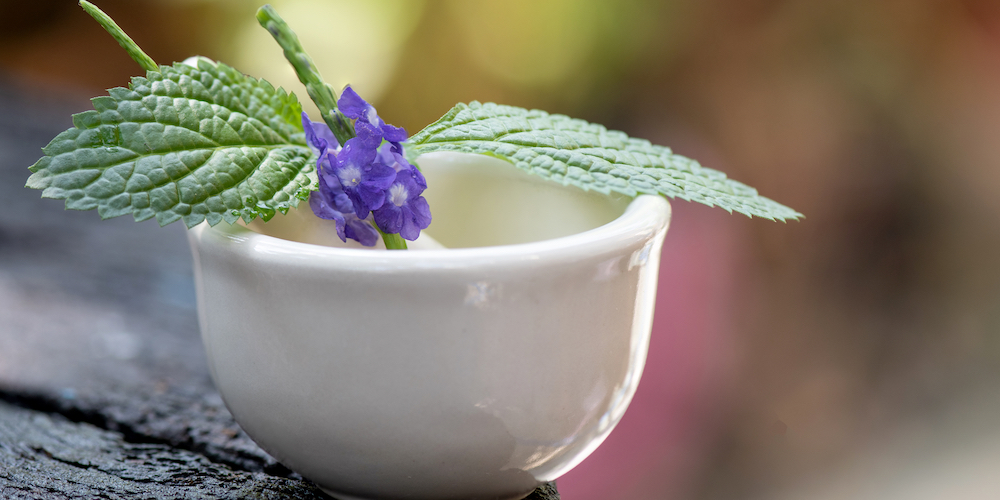 Vervain Tea Benefits & Side Effects | Kent Tea & Coffee Co