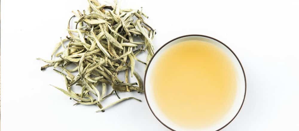 Yellow Tea and Anti Aging Properties