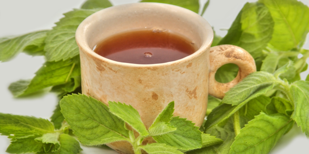 Peppermint Tea Benefits Side Effects Kent Tea Coffee Co