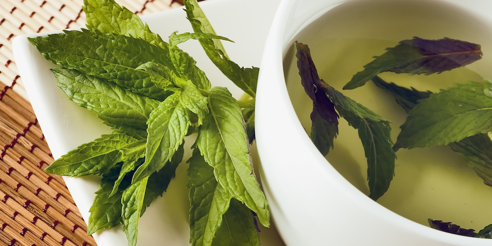 Peppermint Tea Benefits & Side Effects | Kent Tea & Coffee Co