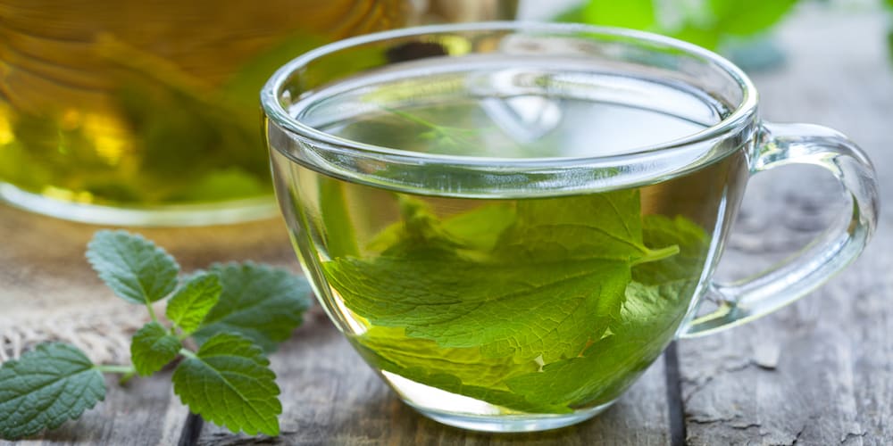 10 Lemon Balm Tea Benefits | Kent Tea & Coffee Co