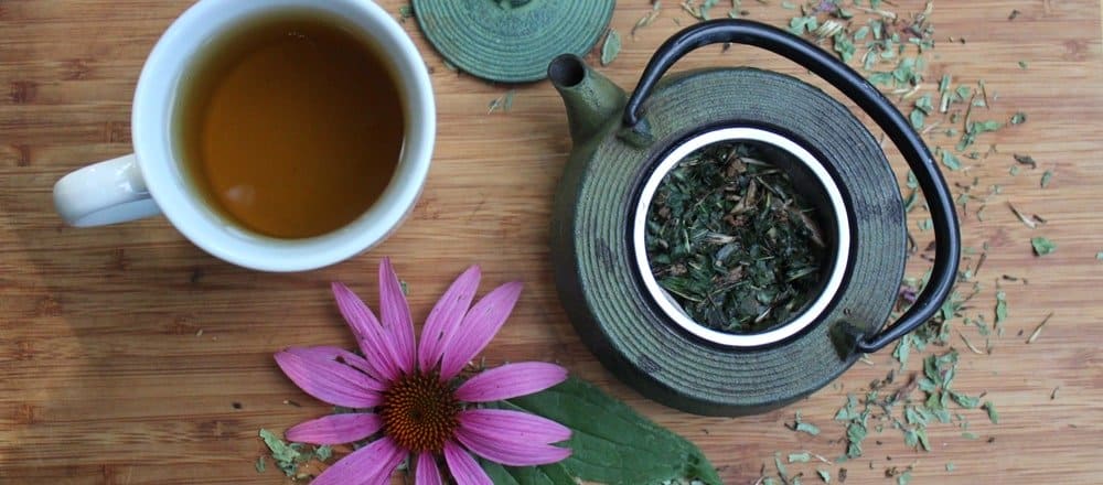 Echinacea Tea