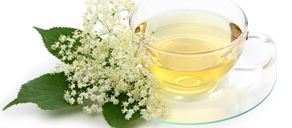 Elderflower Tea Properties