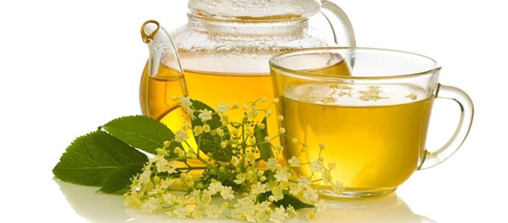 Elderflower Tea Side Effects