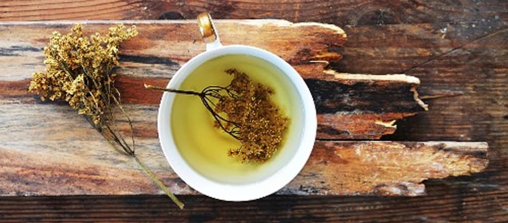 What is Elderflower Tea Good for?