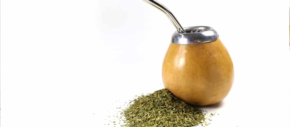 Legacy of Yerba Mate