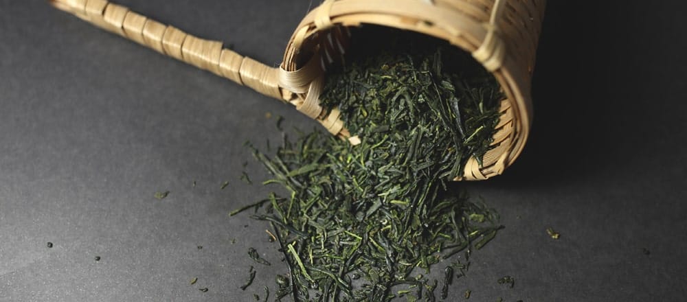 The Legacy of Green Tea