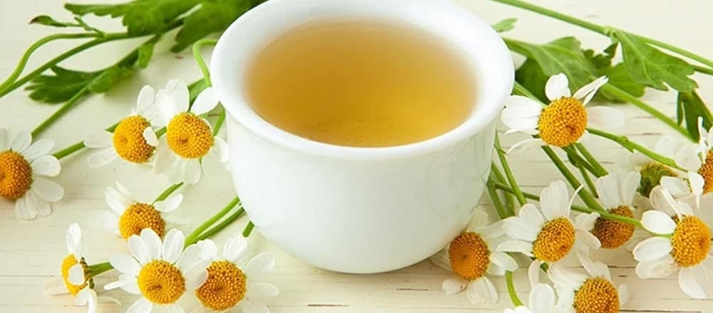 Camomile Tea Benefits Side Effects Kent Tea Coffee Co