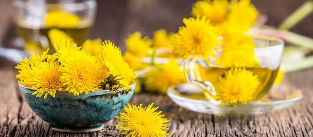 Dandelion Tea is One the Best Teas for Constipation