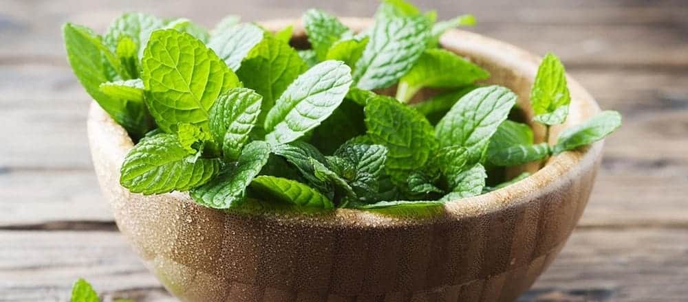 Does Peppermint Tea Cause Constipation