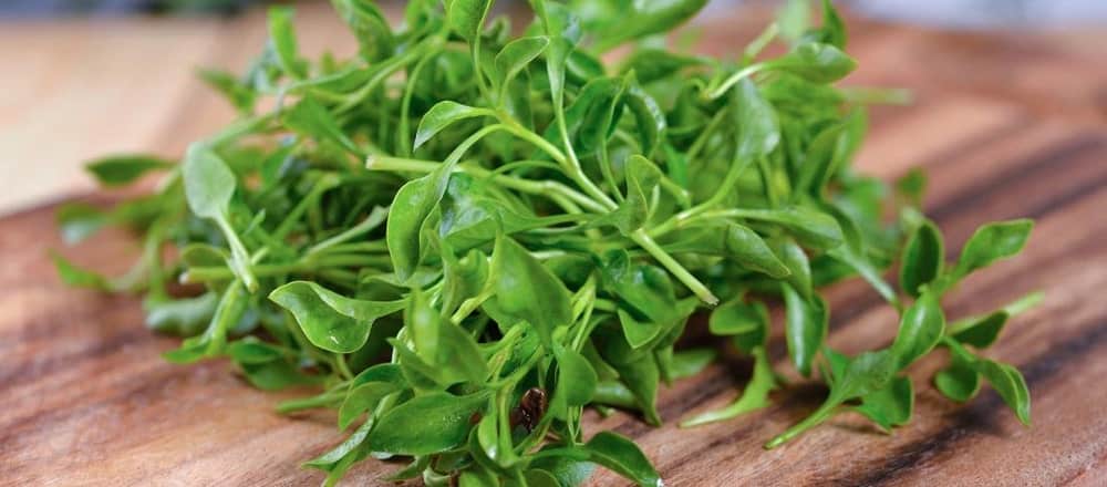 The Saxons Used Watercress for its Healing Properties