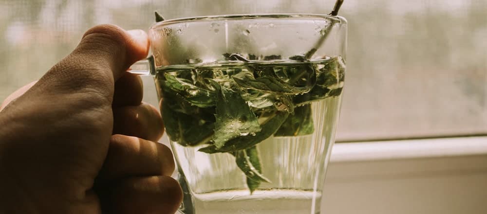 Is Moroccan Mint Tea Safe During Pregnancy? 