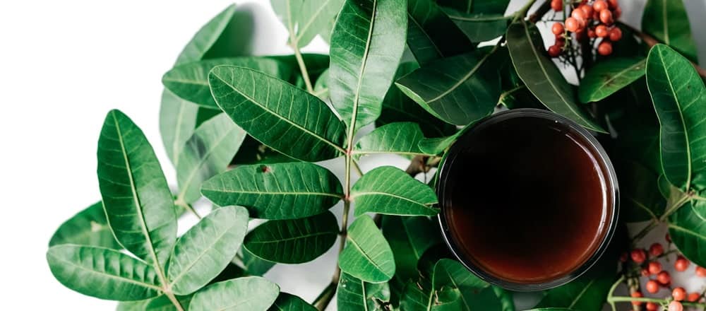 Passion Flower Tea for High Blood Pressure