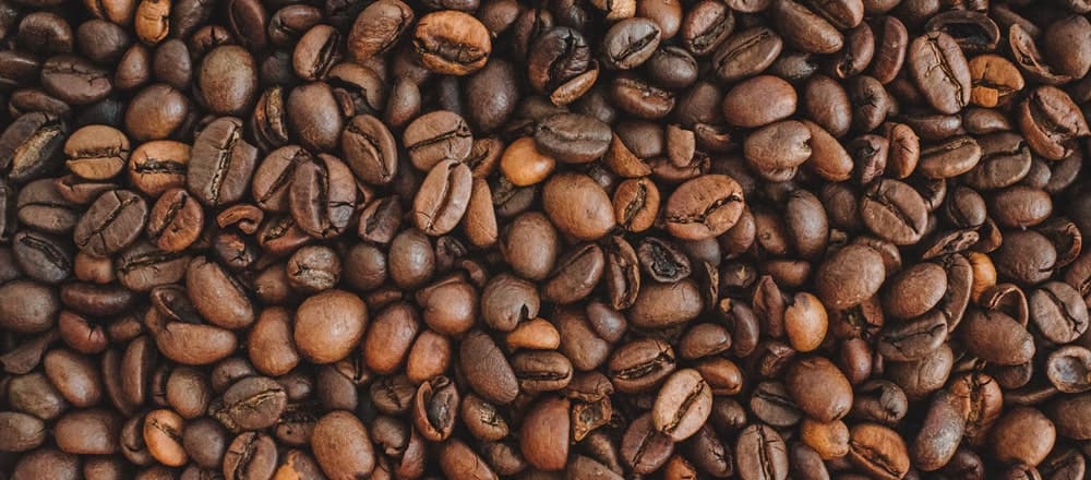 What is Arabica Coffee and Where is it From? | Kent Tea & Coffee Co