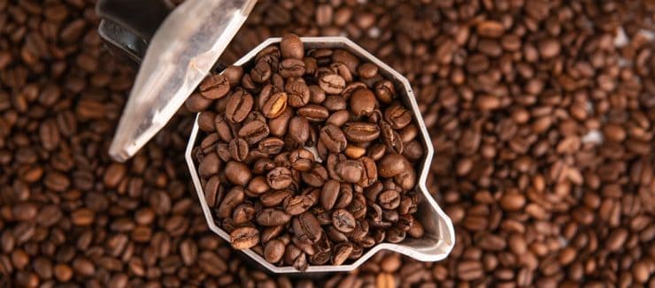 What is Arabica Coffee and Where is it From? | Kent Tea & Coffee Co