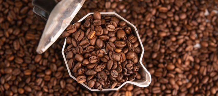 What Is Arabica Coffee And Where Is It From Kent Tea Coffee Co