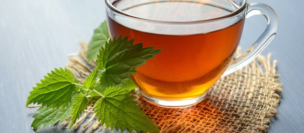 Nettle Tea for Water Retention