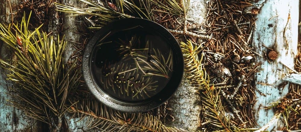 Pine Needle Tea Testosterone Levels