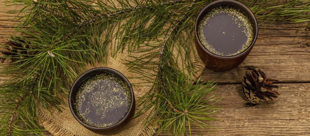 Pine Needle Tea for Cancer